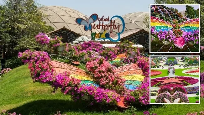 Dubai Miracle Garden & Butterfly Garden Tour