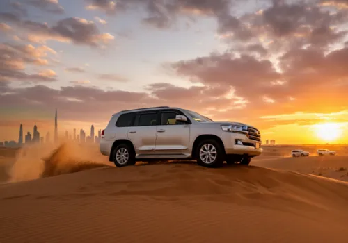 Self Drive Desert Safari